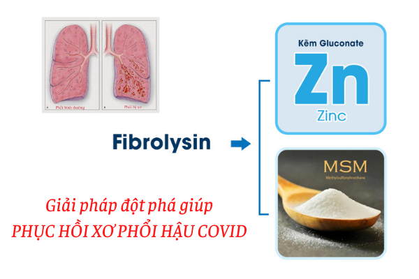 FIBROLYSIN - Hy vọng mới giúp giảm khó thở, mệt mỏi, ho kéo dài và phục hồi xơ phổi hậu COVID